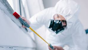 Best Residential Pest Control  in Tuba City, AZ